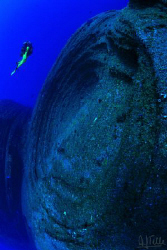 "MONKEY REEF". A strange point of view of El Bajón, El Hi... by Arthur Telle Thiemann 